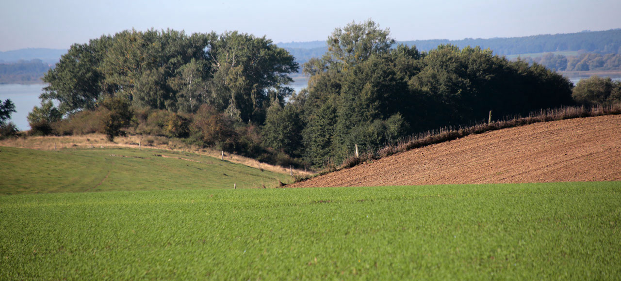 Felder an der Steilküste bei Meesiger, Foto: Delev Brick